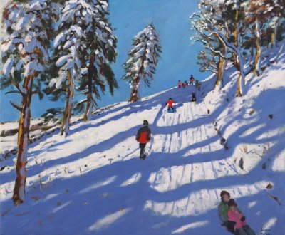 Trineo, Hillside, Glossop, 2015 de Andrew Macara